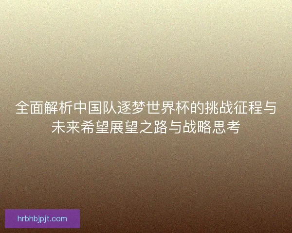 全面解析中国队逐梦世界杯的挑战征程与未来希望展望之路与战略思考
